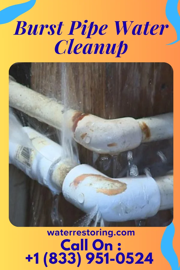 Burst Pipe Water Cleanup in Chesapeake City, MD