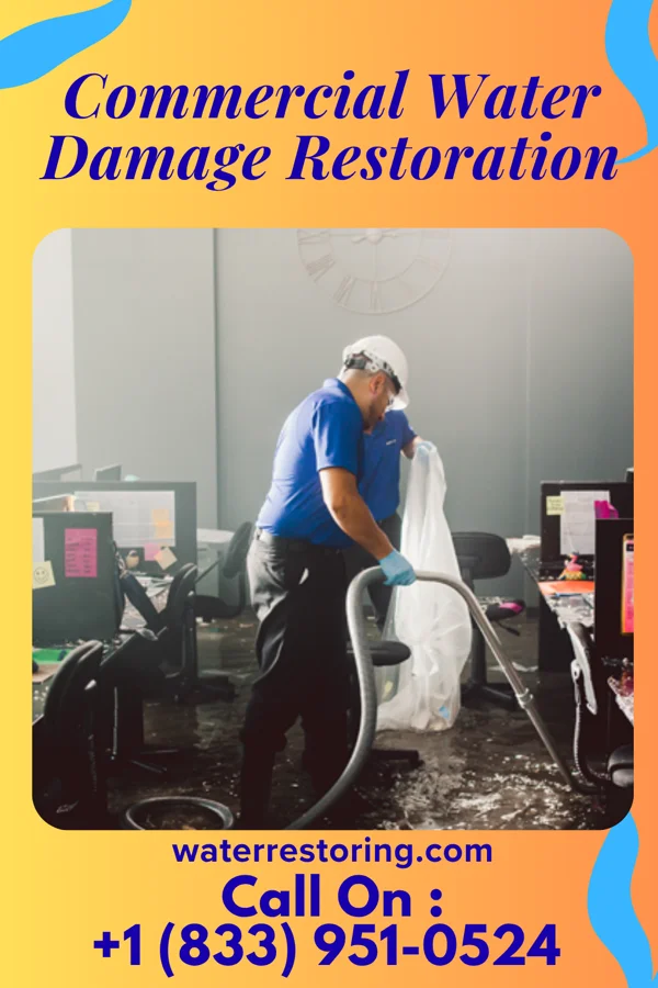 Commercial Water Damage Restoration in Chesapeake City, MD