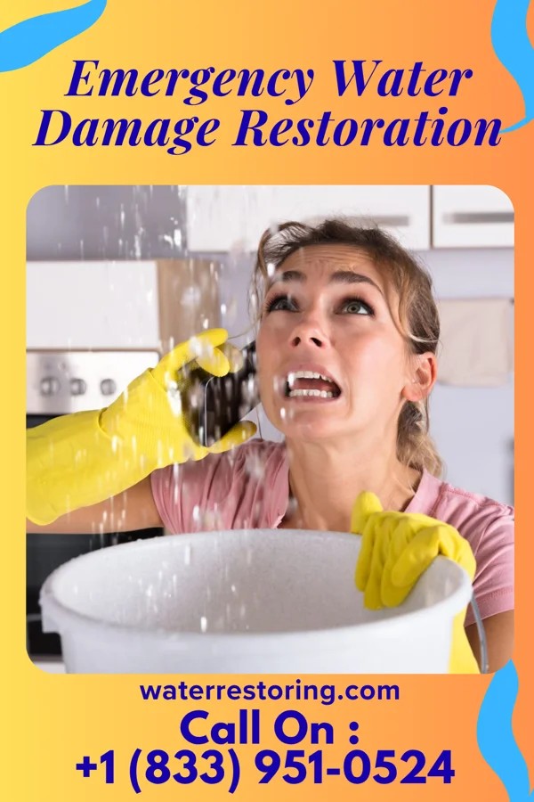 Emergency Water Damage Restoration in Chesapeake City, MD