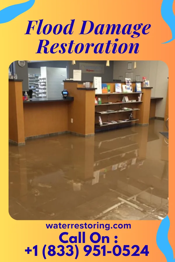 Flood Damage Restoration in Chesapeake City, MD