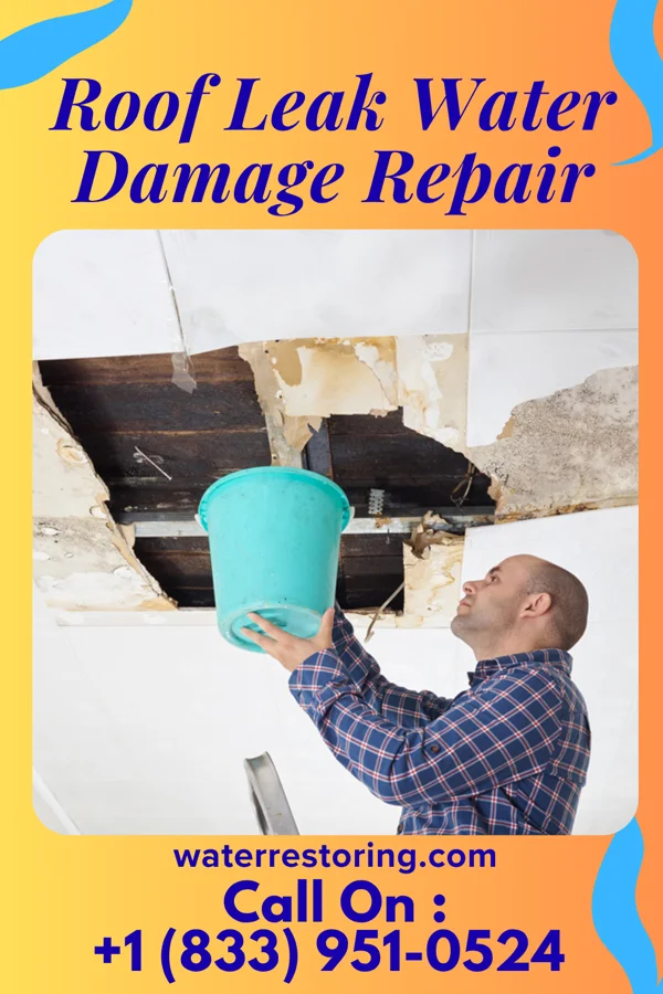 Roof Leak Water Damage Repair in Chesapeake City, MD