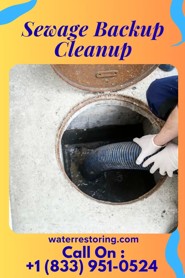 Sewage Backup Cleanup in Chesapeake City, MD