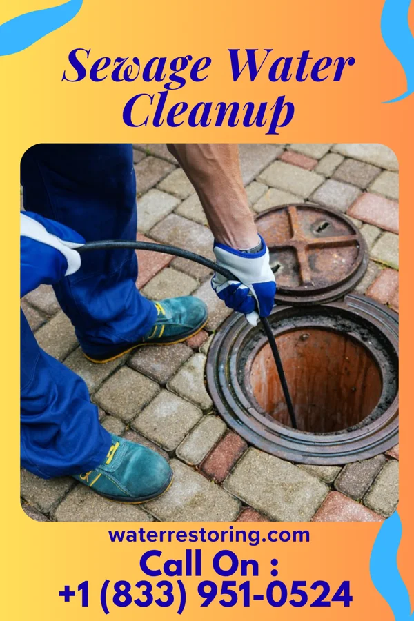 Sewage Water Cleanup in Chesapeake City, MD