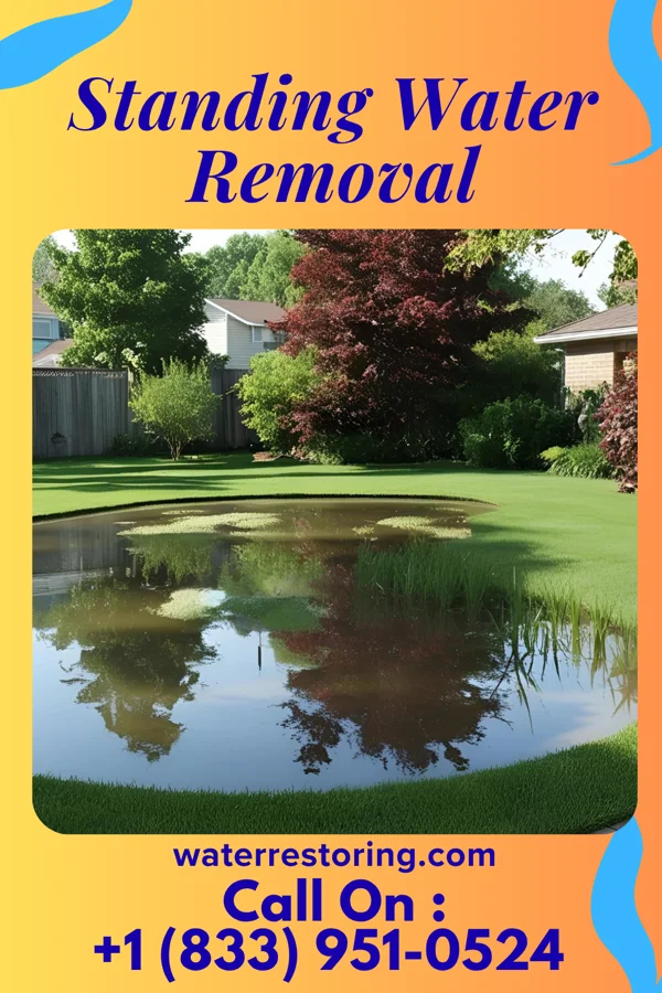 Standing Water Removal in Chesapeake City, MD